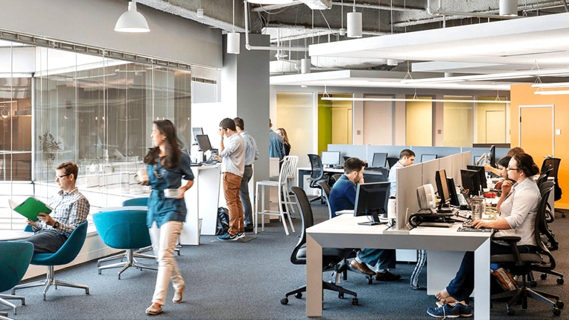 Studenți lucrând la strategie SEO pe laptop